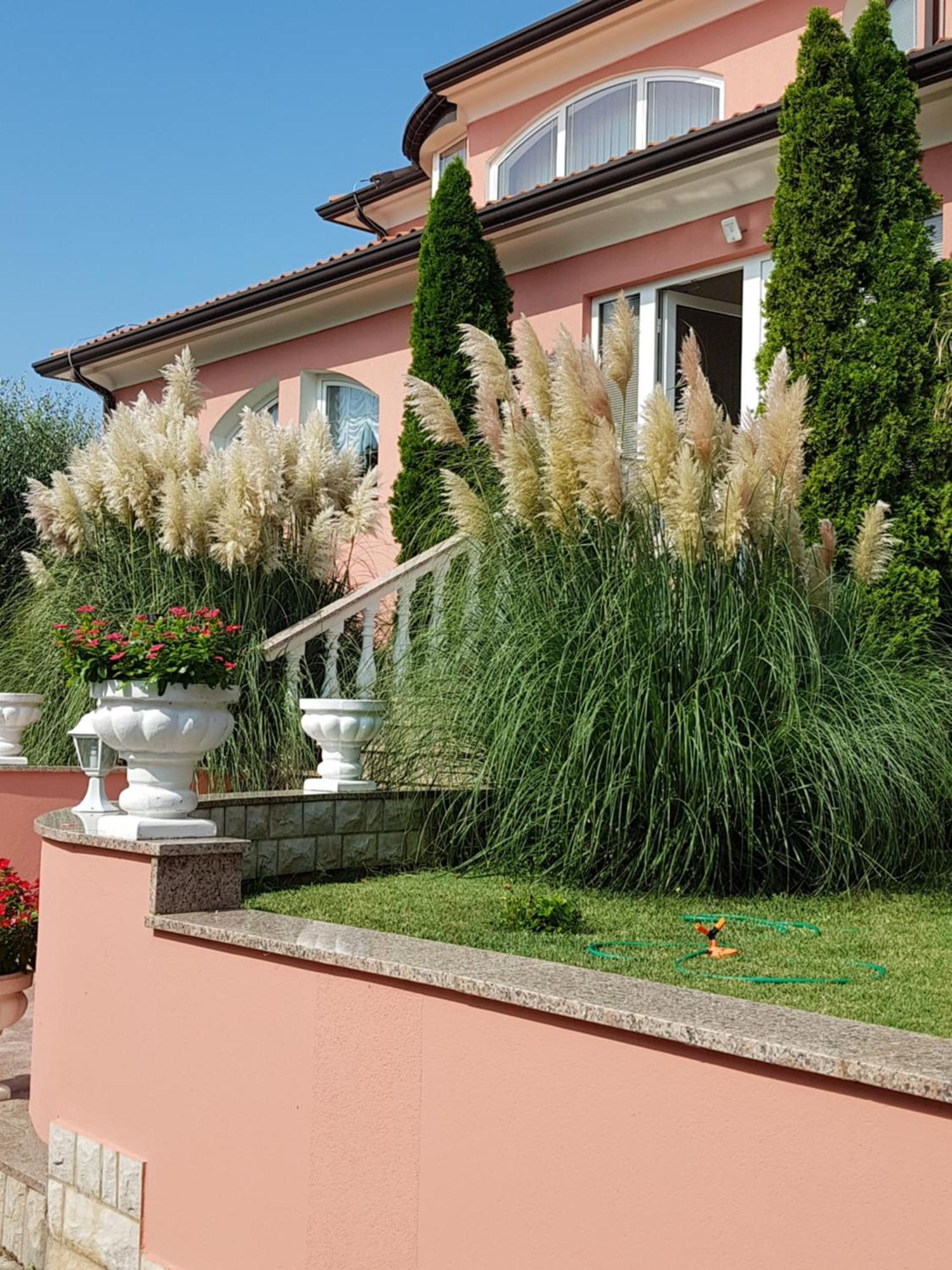 Apartments And Rooms Villa Chiara Krnica Eksteriør billede
